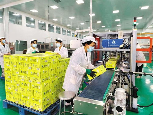 千里沃野共繪振興畫(huà)卷