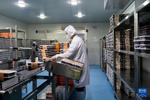 加緊生產(chǎn)保障旅客需求——五金行業(yè)在旅游旺季的應(yīng)對(duì)策略